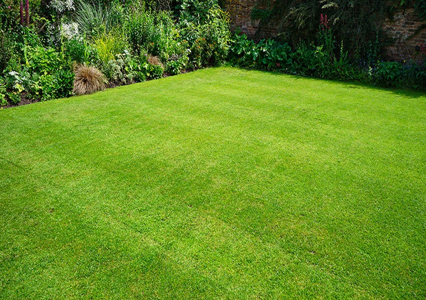 Greenscape Creation 